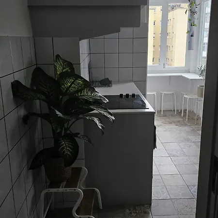 Homestay Grande Vista Centro 3 Personas *